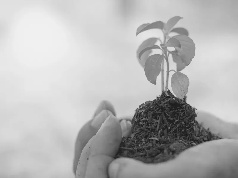 Considerações sobre Racismo Ambiental